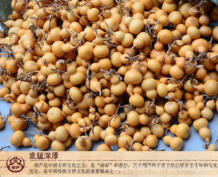 厂家直销19年新手捻葫芦把玩小葫芦美国文玩天然小葫芦民间工艺